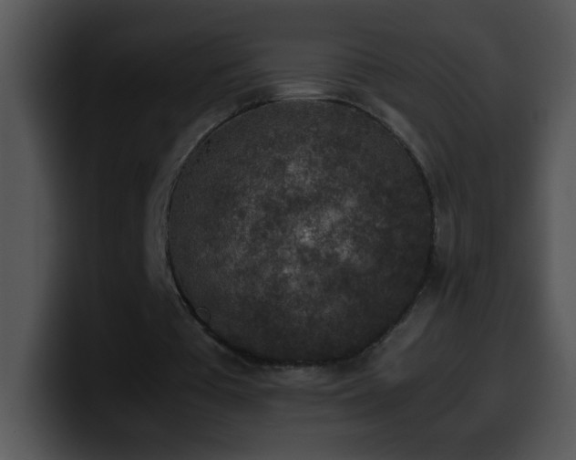 X0000100420385200806061407