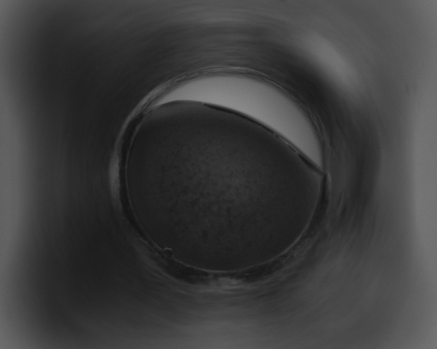 X0000100420387200806061407