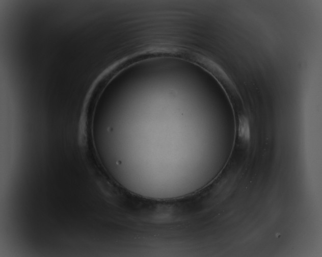 X0000100420388200806061407