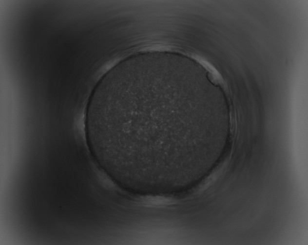 X0000100420389200806061407
