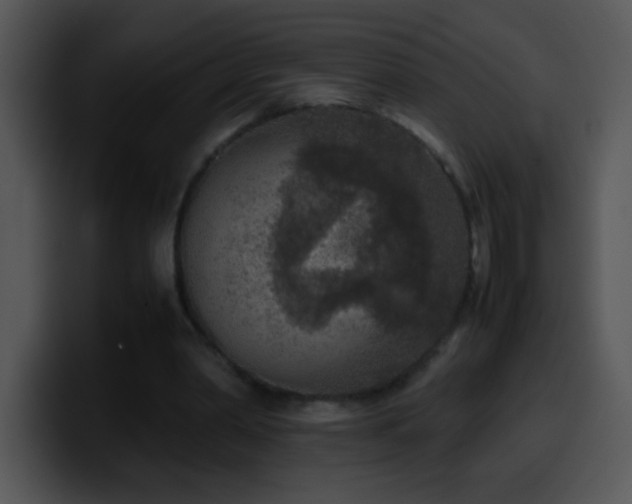 X0000100420390200806061407