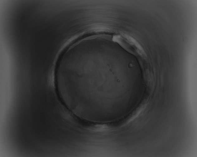 X0000100420391200806061407