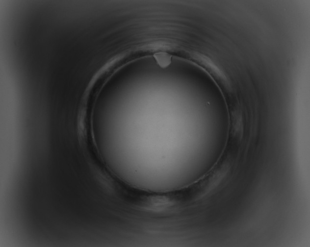 X0000100420392200806061407