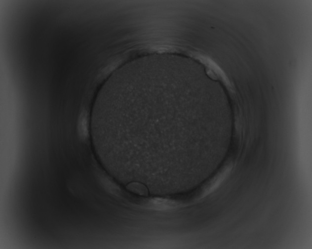 X0000100420393200806061407