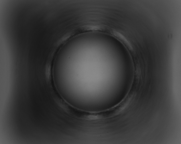 X0000100420394200806061407