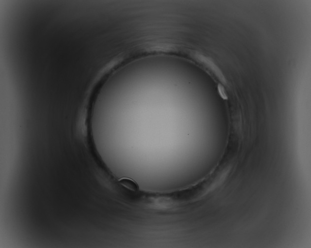 X0000100420395200806061407