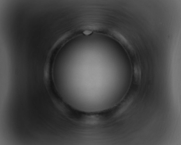 X0000100420396200806061407