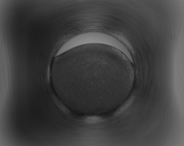 X0000100420397200806061407