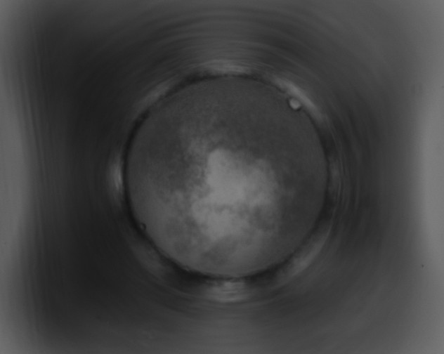 X0000100420398200806061407