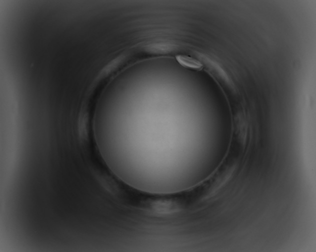 X0000100420400200806061407
