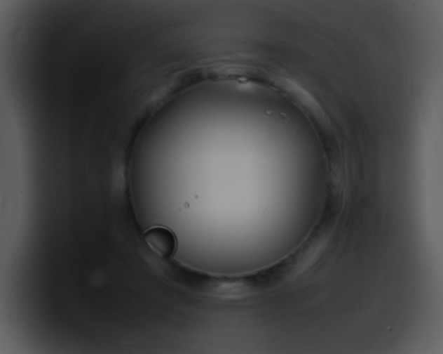 X0000100420401200806061407