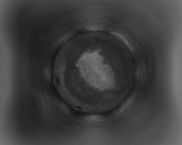 X0000100420402200806061407