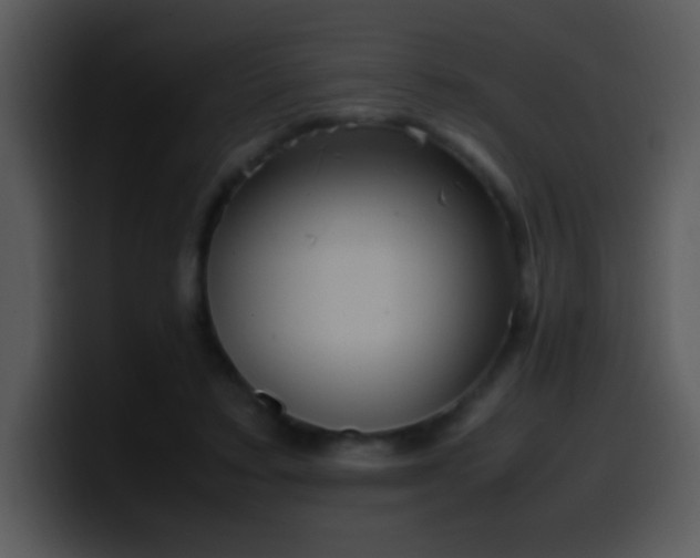 X0000100420403200806061407