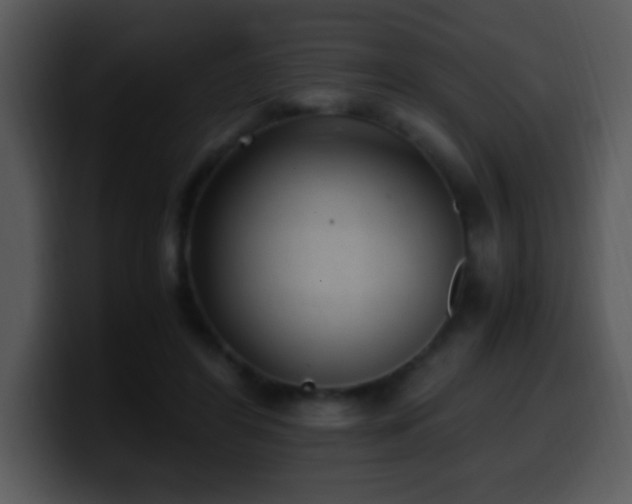 X0000100420404200806061407