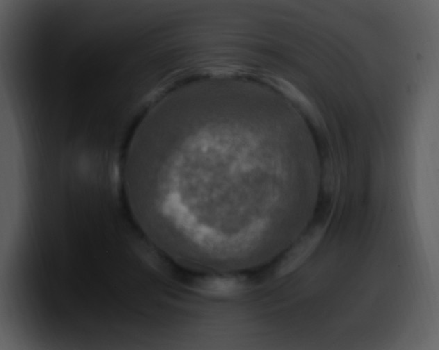 X0000100420405200806061407