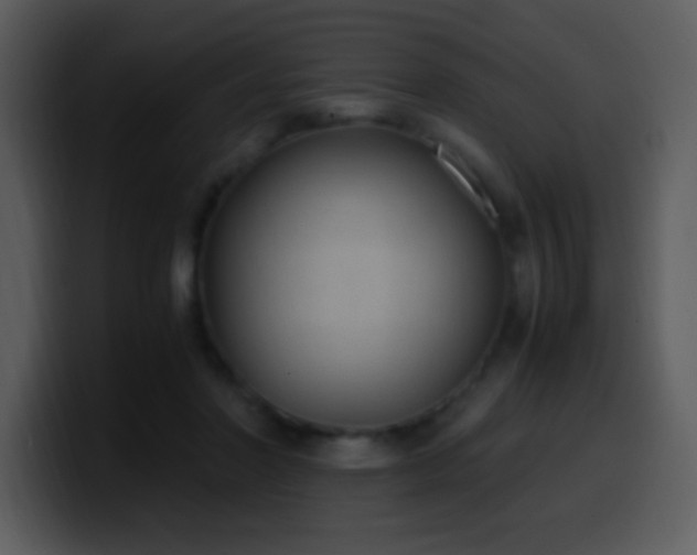 X0000100420406200806061407