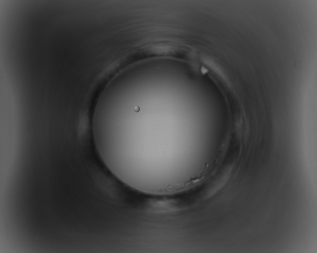 X0000100420407200806061407