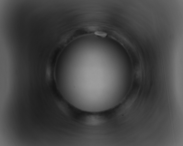 X0000100420408200806061407