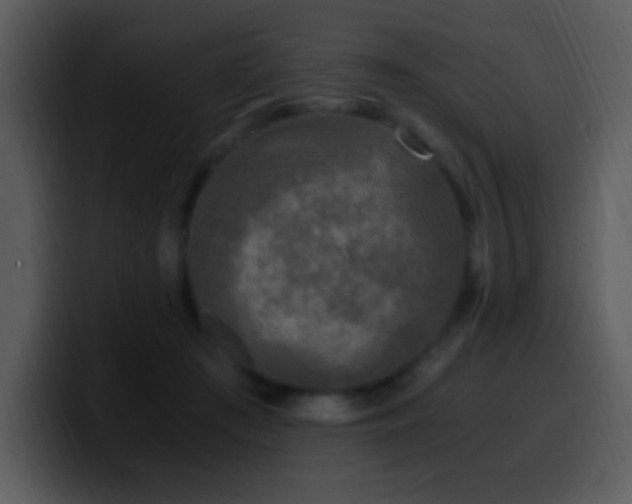 X0000100420409200806061407