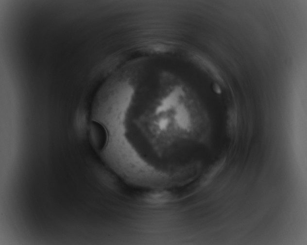 X0000100420410200806061407