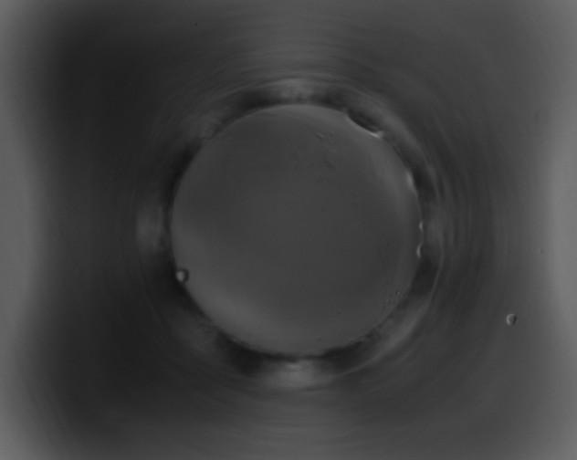 X0000100420411200806061407