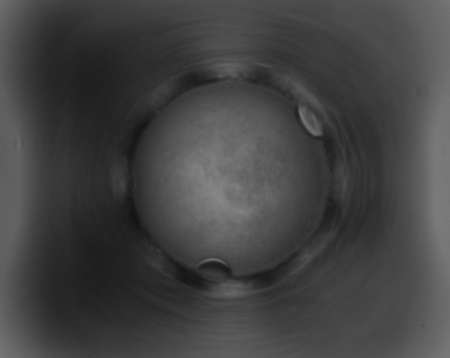 X0000100420413200806061407