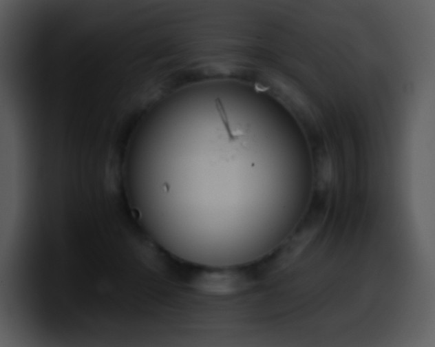 X0000100420414200806061407
