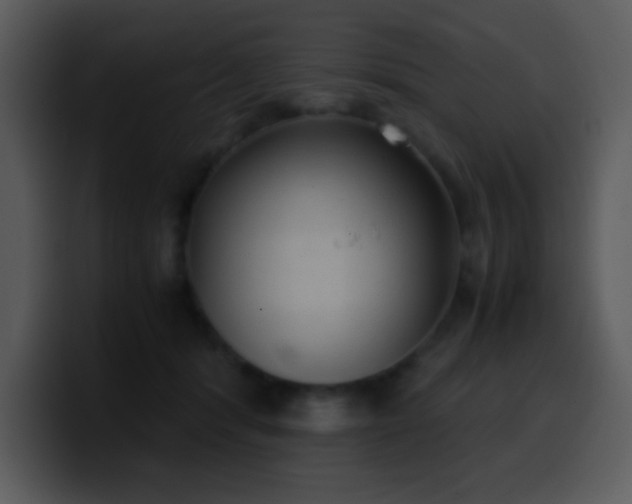 X0000100420416200806061407