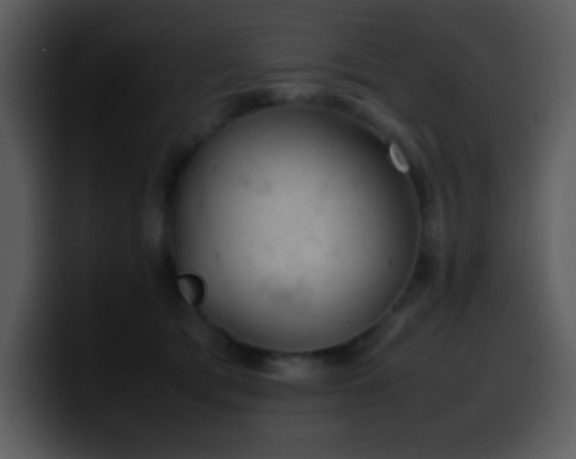 X0000100420417200806061407