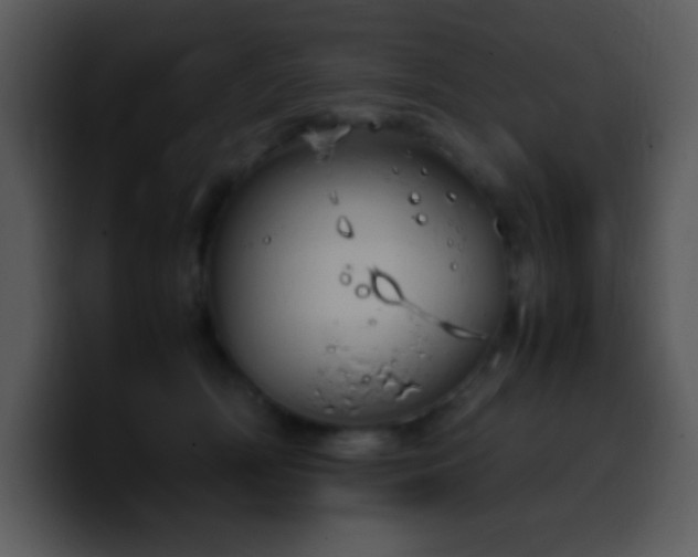 X0000100420418200806061407