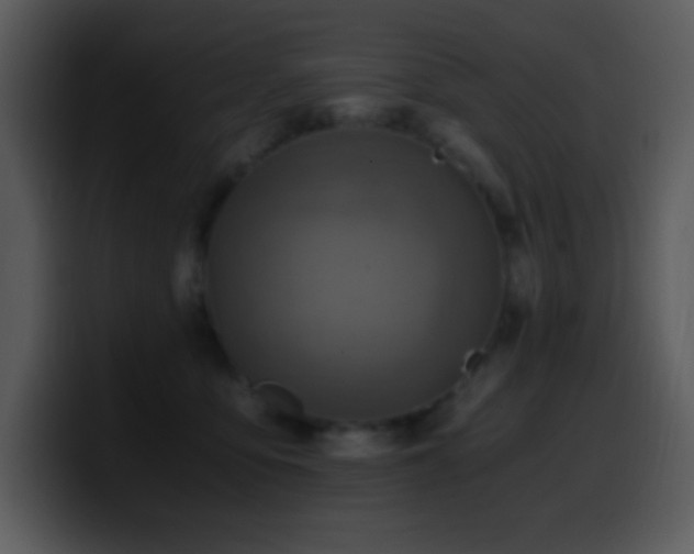 X0000100420419200806061407