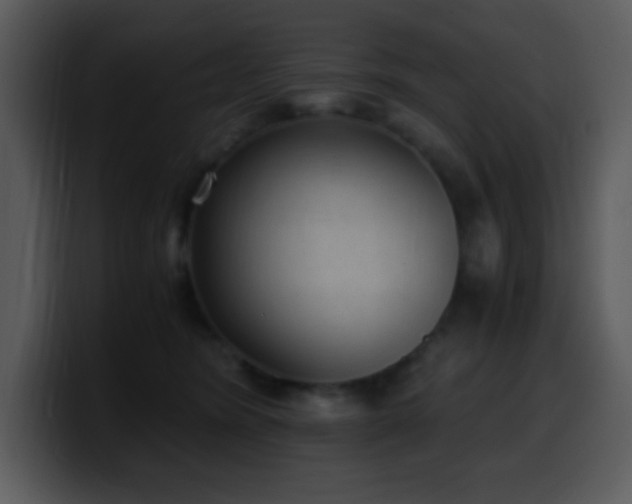 X0000100420420200806061407