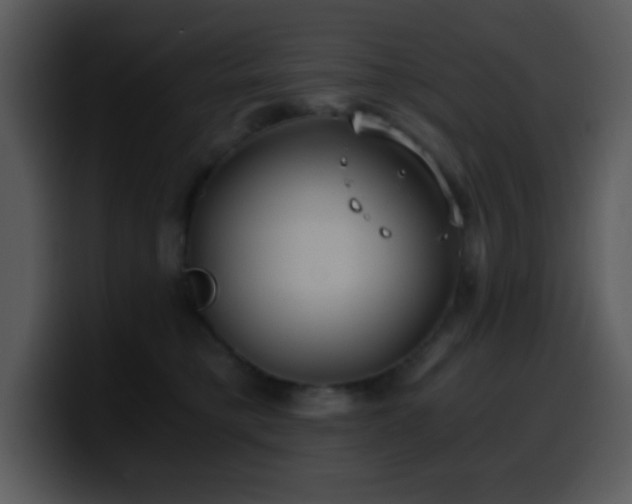 X0000100420421200806061407
