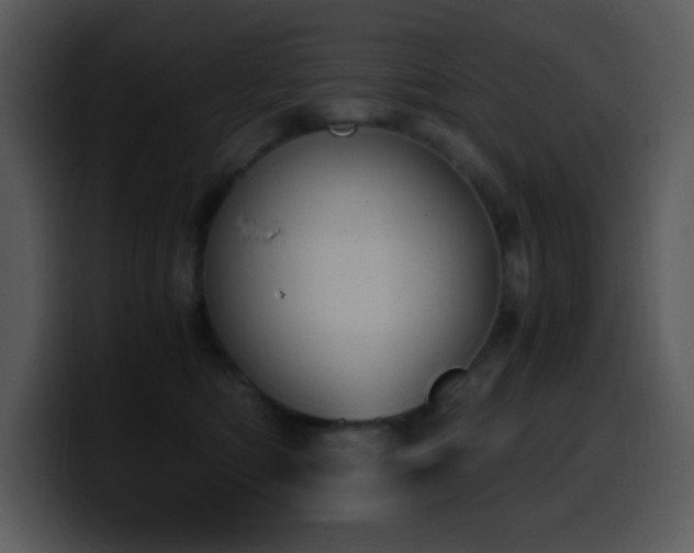 X0000100420422200806061407