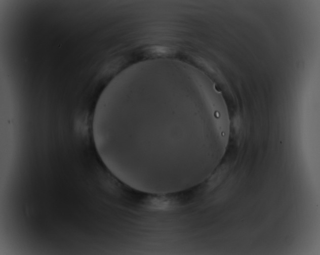 X0000100420423200806061407
