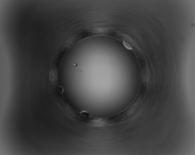 X0000100420425200806061407