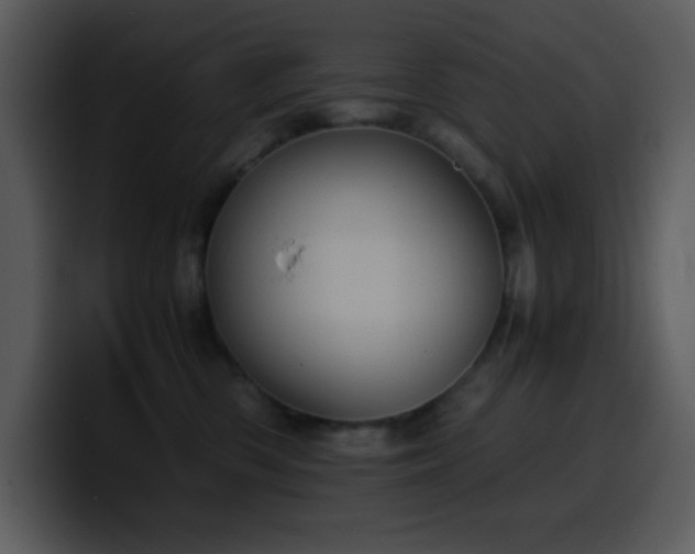 X0000100420426200806061407