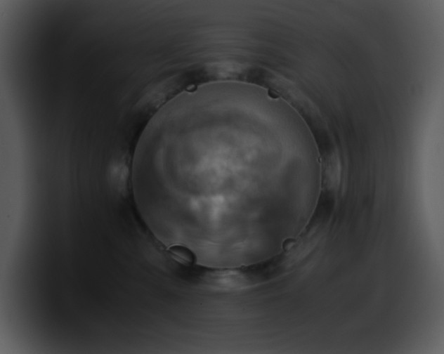 X0000100420427200806061407