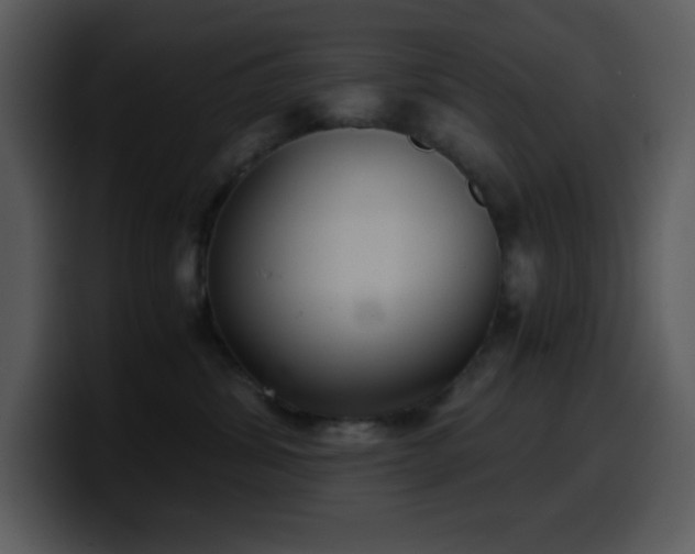 X0000100420428200806061407
