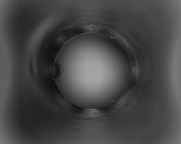 X0000100420429200806061407