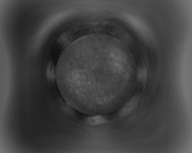 X0000100420431200806061407