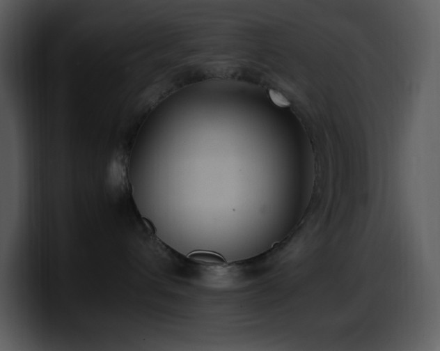 X0000100420432200806061407