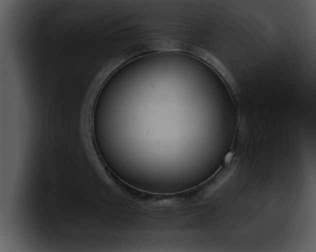 X0000100420433200806061406
