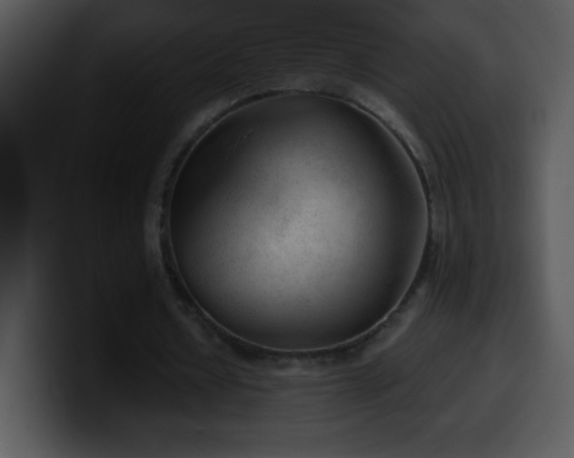 X0000100420434200806061406