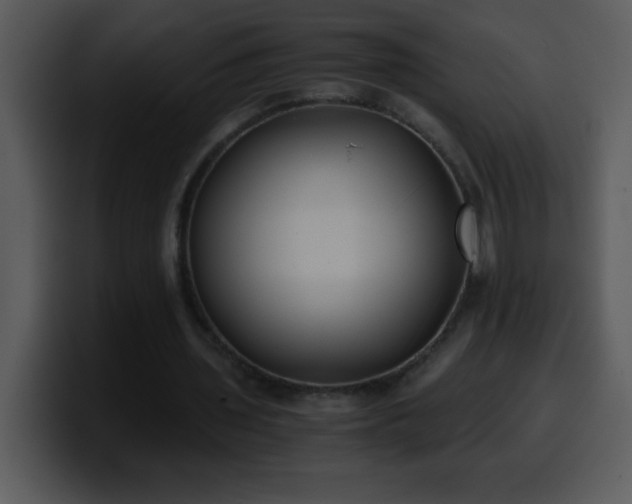 X0000100420435200806061406