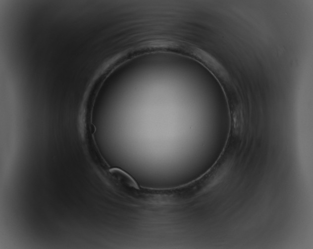 X0000100420436200806061406