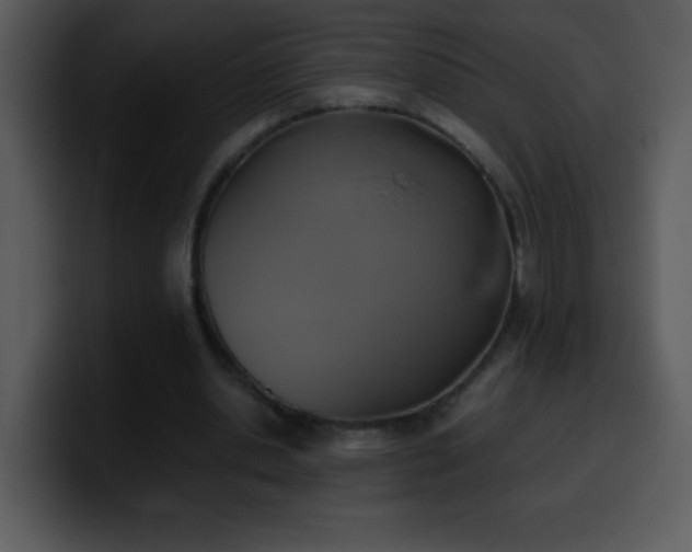 X0000100420438200806061406