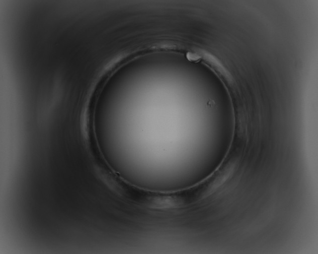 X0000100420439200806061406