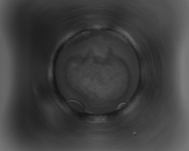 X0000100420443200806061406