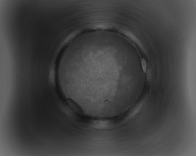 X0000100420444200806061406